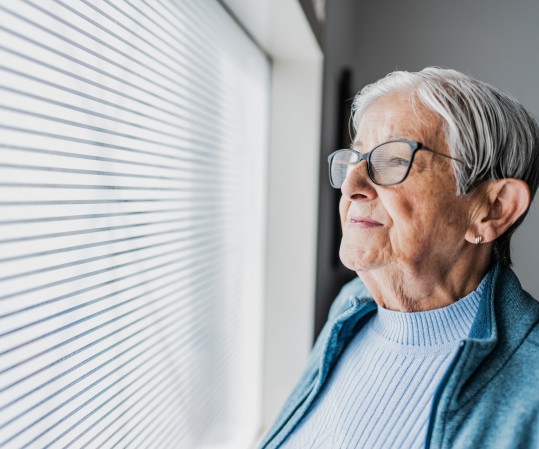 volets roulants motorisés