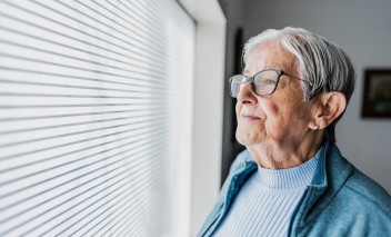 volets roulants motorisés